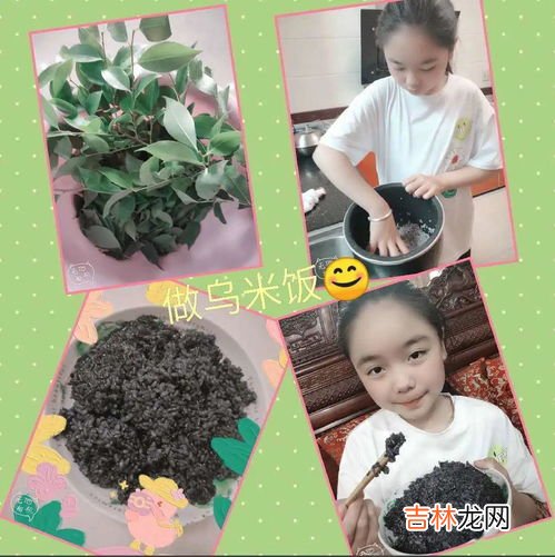 乌米饭的由来与传说是什么,立夏吃乌米饭寓意 立夏吃乌米饭的传说由来