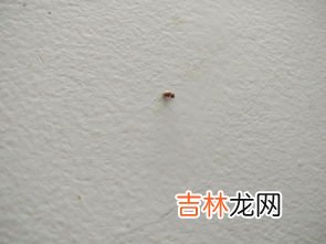 pp材质对人体有害吗,pp材料对人体有害吗