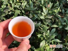 岩茶的特点和口感有什么,如何形容岩茶干茶的口感