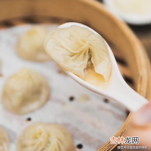 小笼包的馅料用小葱还是大葱,制作小笼包时,想要好吃应该怎么调馅呢?