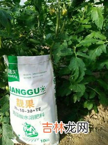 贝利谷酸多少钱,贝利谷宠物益生菌怎么样