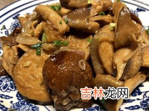 猪肚菌最佳吃法,新鲜猪肚菌怎么做好吃