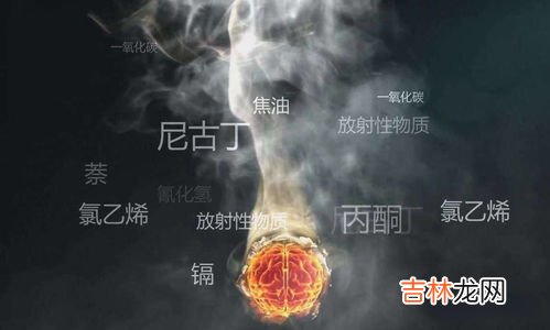 戒烟1天到15天的变化,戒烟1天到10天的变化是怎样的？