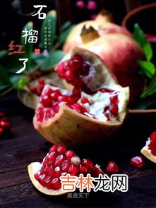 石榴怎么剥,石榴怎么剥才好剥