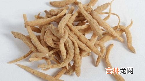 同仁堂太子参怎么吃,太子参的食用方法