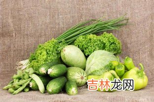 萝卜是蔬菜吗,萝卜属于什么类蔬菜