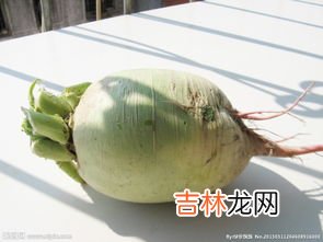 萝卜是蔬菜吗,萝卜属于什么类蔬菜