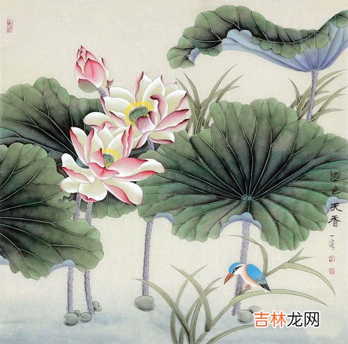 莲花的寓意和象征是什么,莲花的寓意和象征