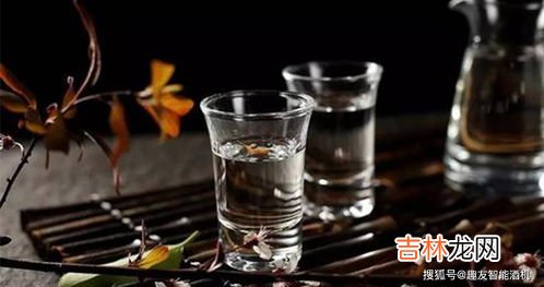 嘉宝果泡白酒的制作方法,嘉宝果泡酒需破皮?10斤酒需多少果需多少冰糖？建议最好多少度的酒？