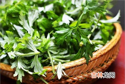 艾草的吃法,艾草的食用方法是什么