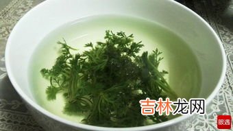 茵陈的吃法,茵陈的吃法