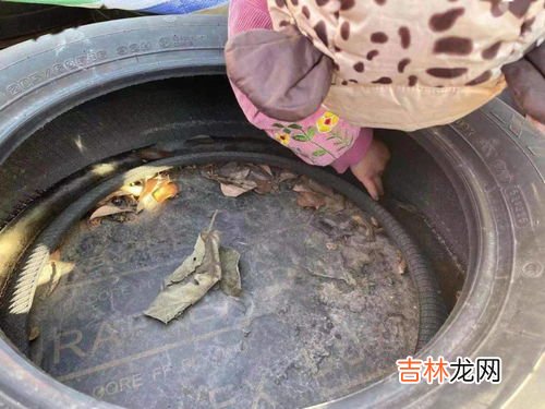 油会结冰吗,为什么有的食用油冬天会结冰？