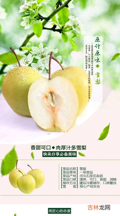 皇冠梨和雪梨的区别,皇冠梨是雪梨吗？
