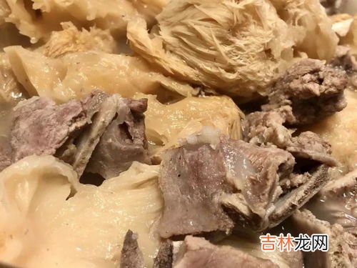 鲜猴头菇的吃法和注意,猴头菇的吃法和要注意的地方