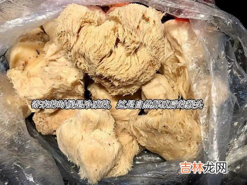 鲜猴头菇的吃法和注意,猴头菇的吃法和要注意的地方