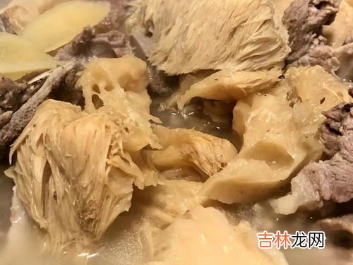 鲜猴头菇的吃法和注意,猴头菇的吃法和要注意的地方