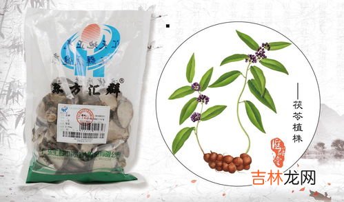 茯神与茯苓的区别,茯苓茯神的区别