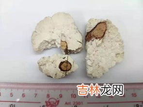 茯神与茯苓的区别,茯苓茯神的区别