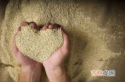 粉蕉是寒性还是热性,粉蕉是凉性的吗?