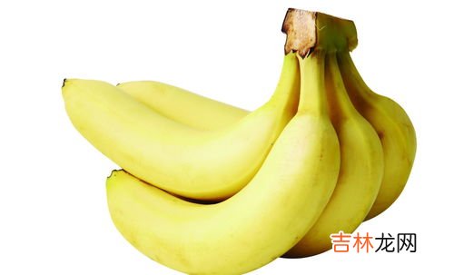 粉蕉是寒性还是热性,粉蕉是凉性的吗?