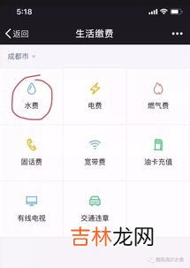 水费欠费停水后什么时间恢复正常,水费停了交费后怎么恢复
