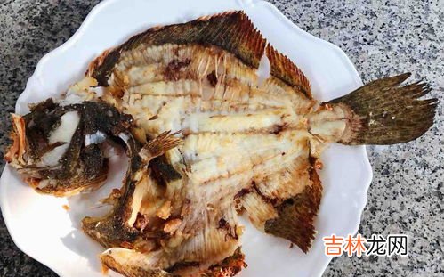 甲鱼属于鱼吗,甲鱼是鱼吗