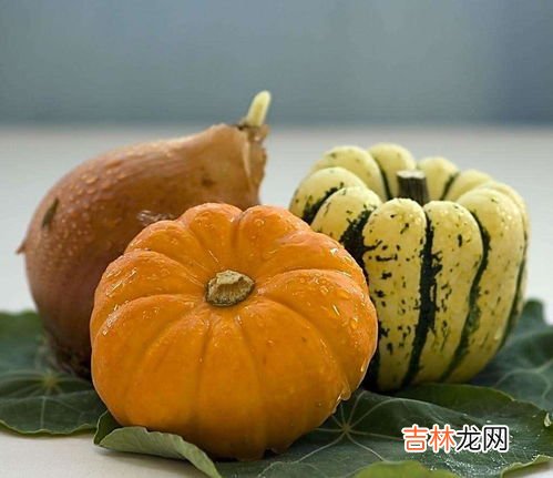 南瓜怎么吃,南瓜吃法和做法大全集