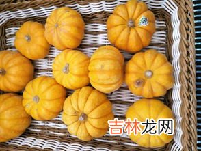 南瓜怎么吃,南瓜吃法和做法大全集