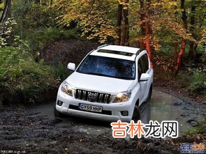 酷路泽和霸道的区别,霸道与酷路泽有什么区别