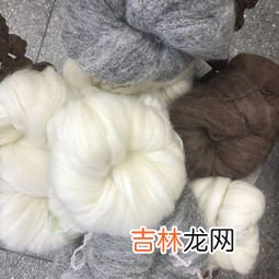 绵羊毛和羊毛的区别,绵羊毛和羊毛的区别是什么