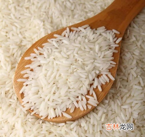 大米是啥农作物,大米是水稻还是小麦
