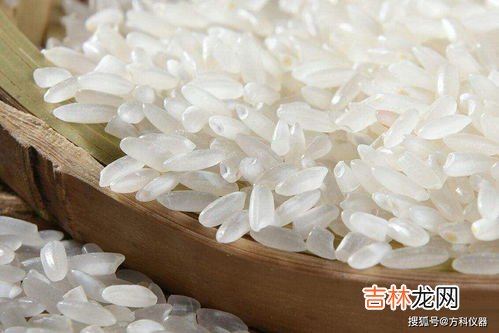 大米是啥农作物,大米是水稻还是小麦