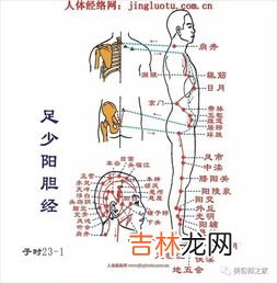 12经络顺口溜快速记忆,人体十二经络快速记忆法