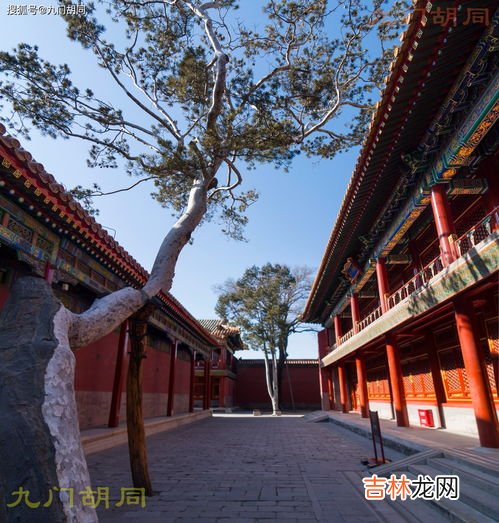 慈宁宫是干什么的,清朝共有多少个宫殿？乾清宫、太和殿、养心殿、慈宁宫、坤宁宫……所有宫殿的功能是什么？