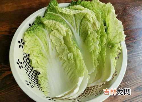 龙牙白菜与大白菜区别是什么,龙牙白菜与大白菜区别