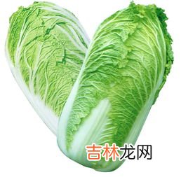龙牙白菜与大白菜区别是什么,龙牙白菜与大白菜区别