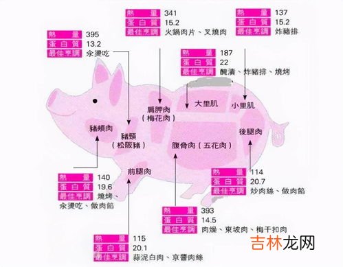 三线肉是哪个部位,三线肉哪个部位适合烤着吃