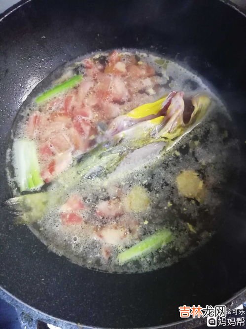 昂刺鱼的营养价值,黄颡鱼的营养价值