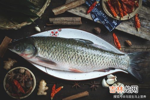 昂刺鱼的营养价值,黄颡鱼的营养价值
