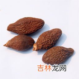胖大海泡水喝的正确方法,胖大海怎样泡?与水的比例是多少?泡几次换掉?