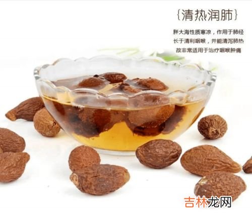 胖大海泡水喝的正确方法,胖大海怎样泡?与水的比例是多少?泡几次换掉?