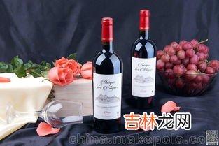 广东葡萄酒品牌排行榜,葡萄酒哪个牌子好