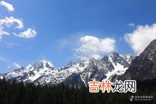 武功山有多高海拔是多少,江西武功山海拔多少米