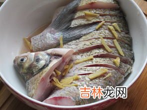 臭鱼的正宗腌制方法,臭鳜鱼正宗腌制方法