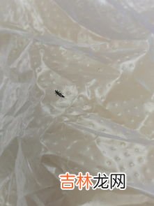 聚丙烯对人体有害吗,聚丙烯对人体有害吗？