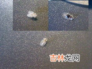 聚丙烯对人体有害吗,聚丙烯对人体有害吗？
