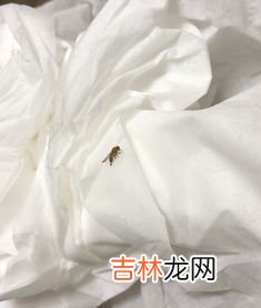 聚丙烯对人体有害吗,聚丙烯对人体有害吗？