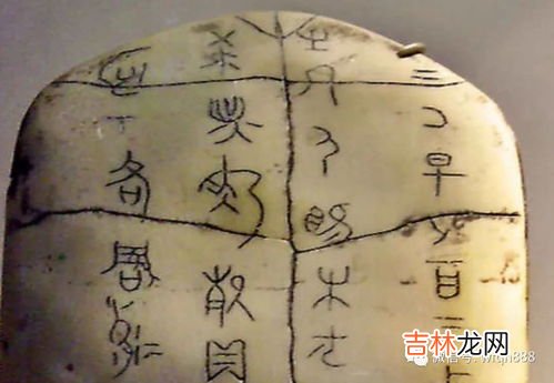 甲骨文是一种什么文字,甲骨文是一种什么文字？