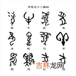 甲骨文是一种什么文字,甲骨文是一种什么文字？