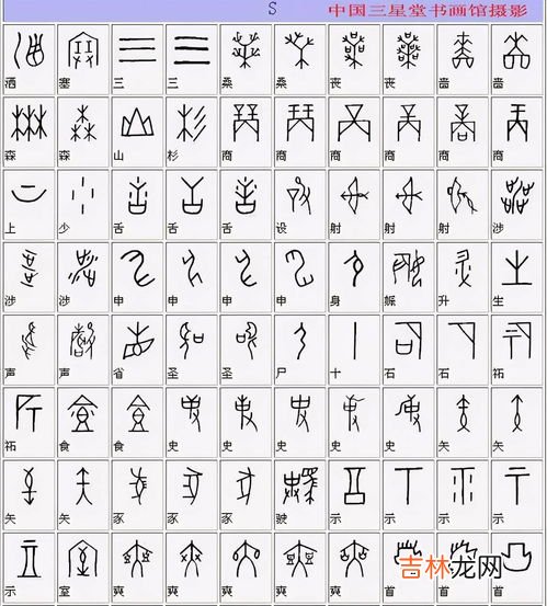 甲骨文是一种什么文字,甲骨文是一种什么文字？
